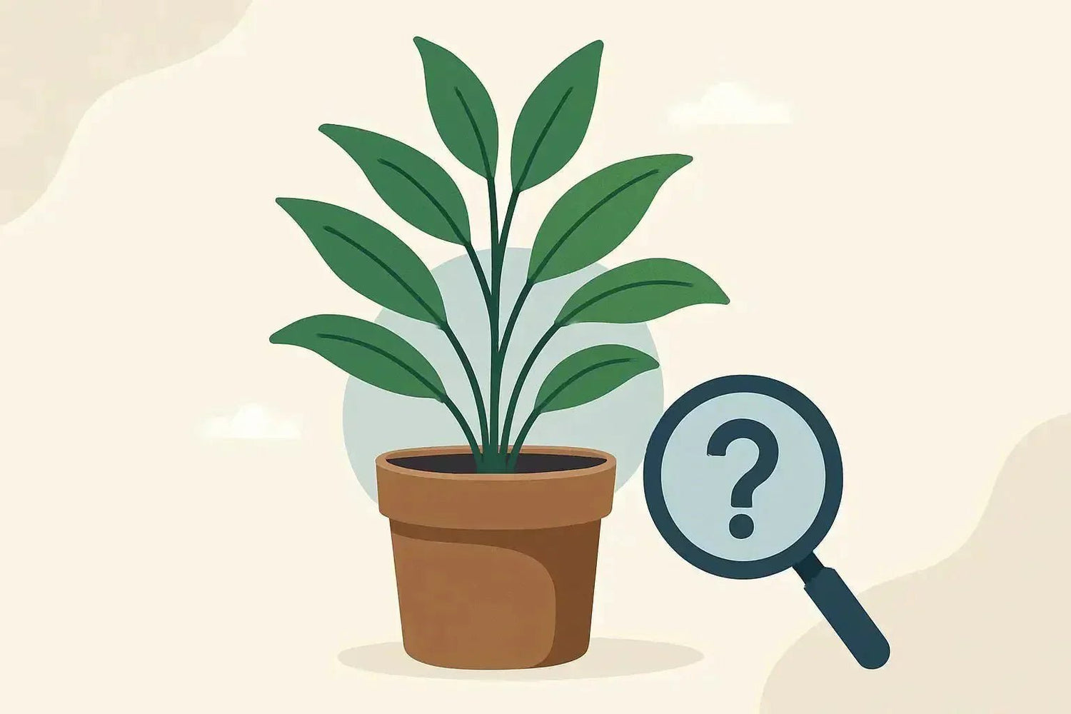 Cache-pot sans trou de drainage : comment l'utiliser sans noyer ses plantes ?