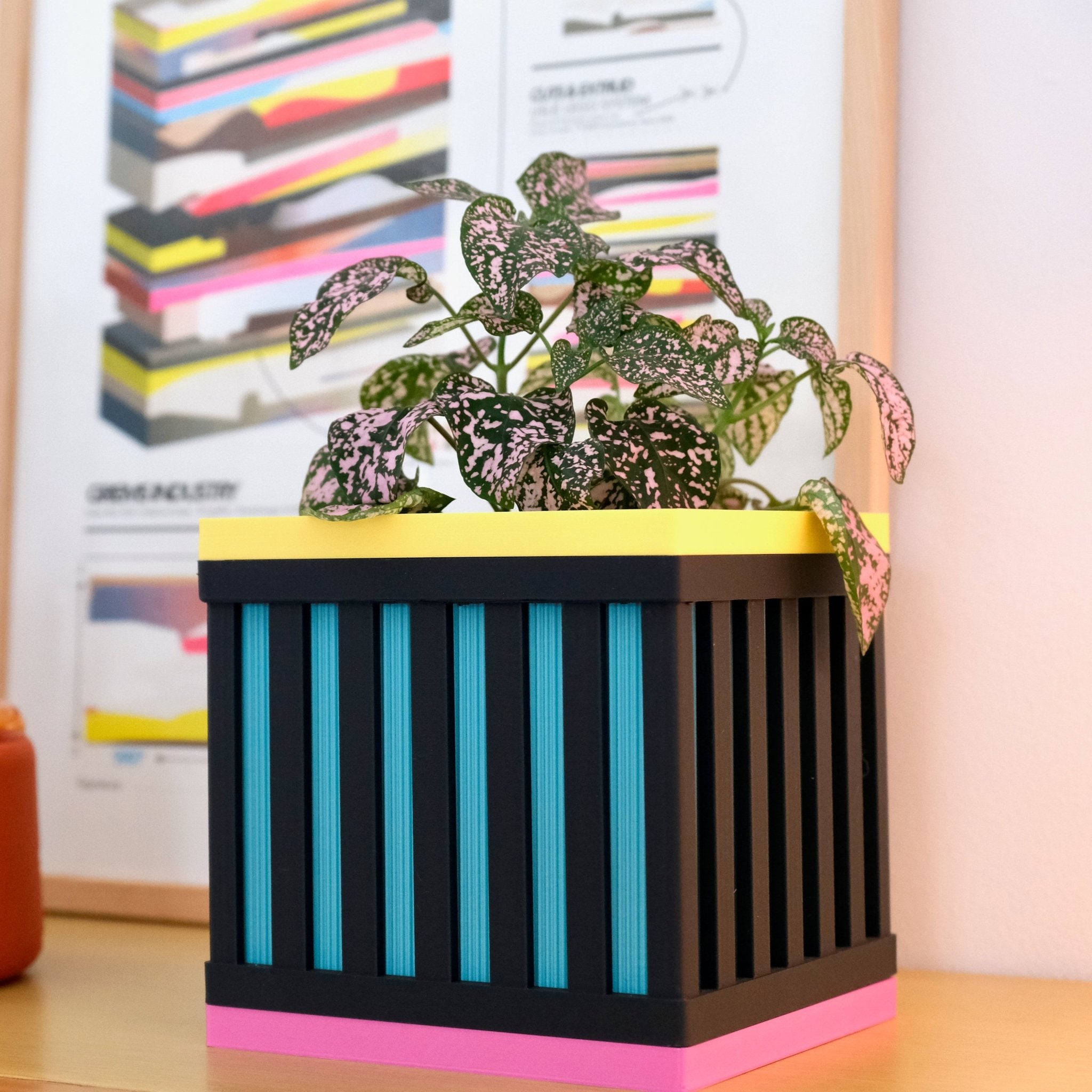 Le Cube N°1 - Cache - pot - Les Arcadiens