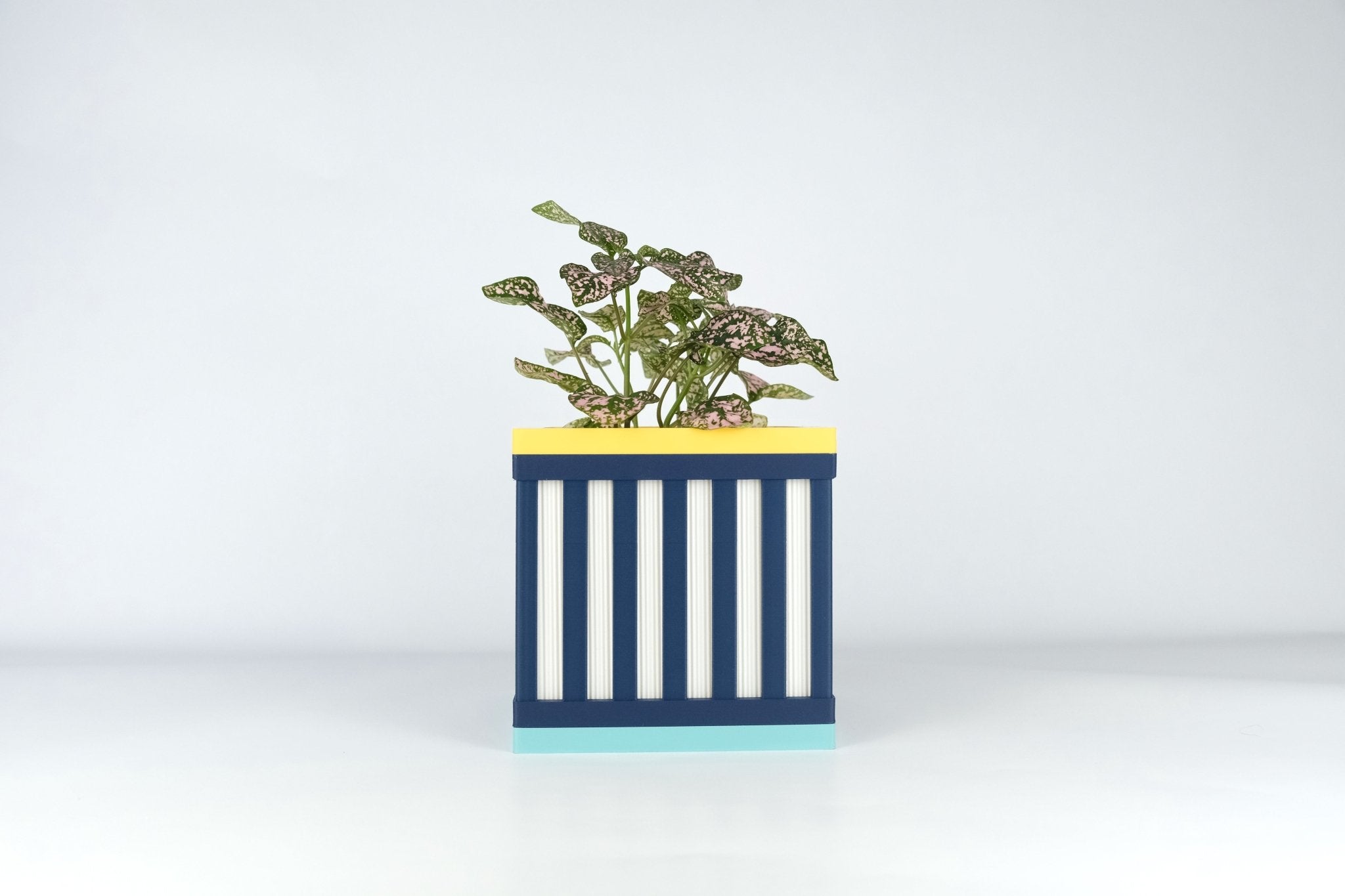 "Le Cube N°1 - Cache-pot ⌀9 cm - Marine/Blanc - Les Arcadiens"