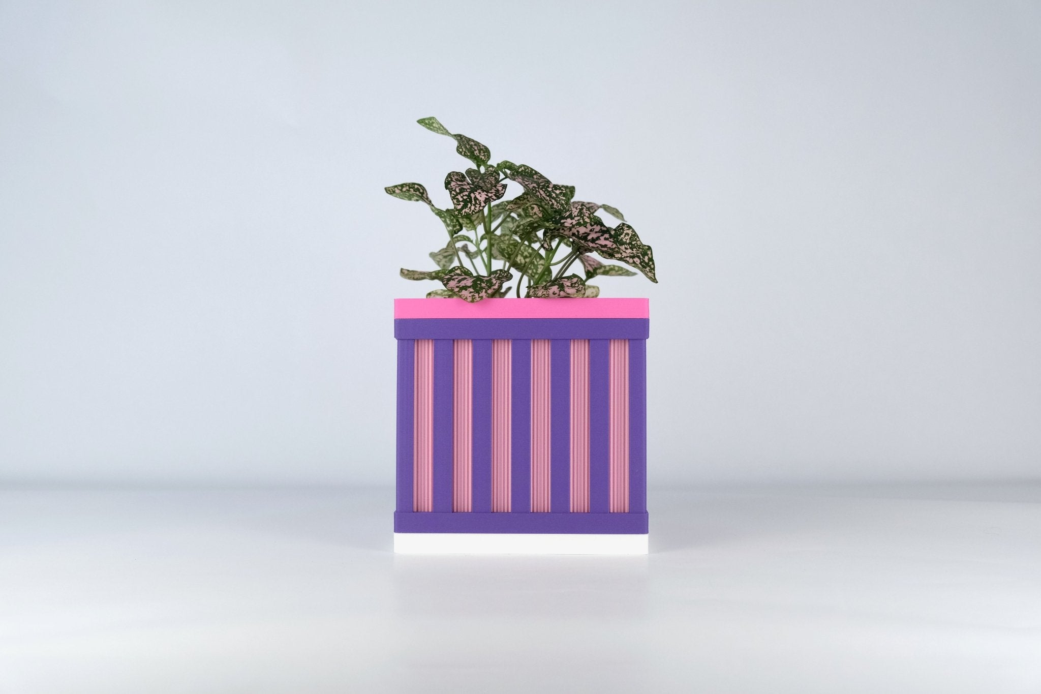 "Le Cube N°1 - Cache-pot ⌀9 cm - Violet/Rose - Les Arcadiens"