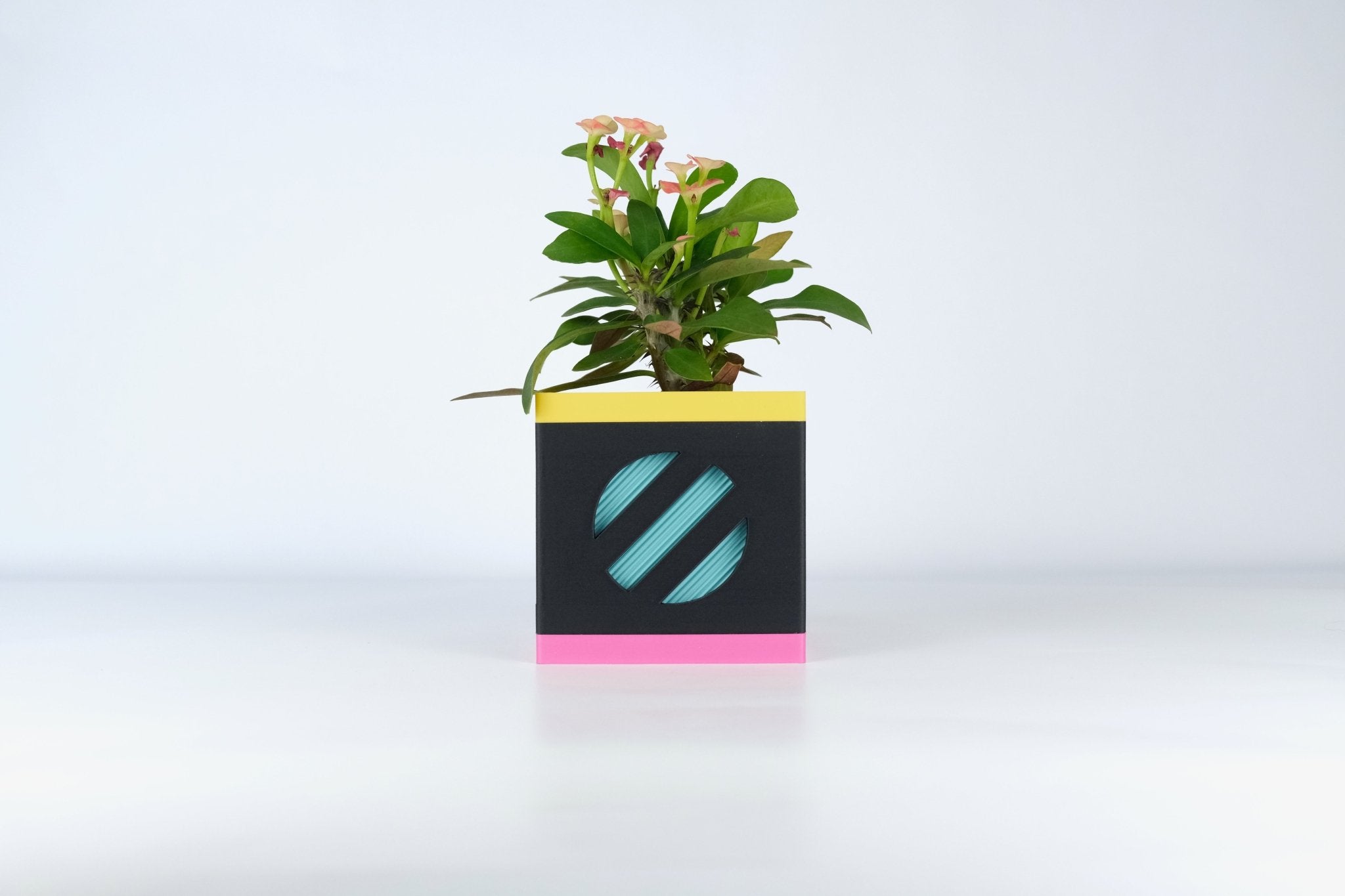 Le Cube N°2 - Cache-pot Ø6 cm - Noir - Les Arcadiens