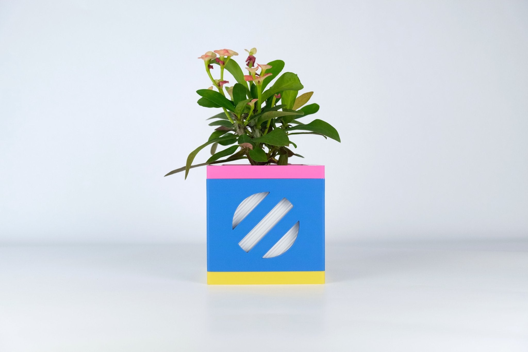 "Le Cube N°2 - Cache-pot Ø6 cm - Bleu - Les Arcadiens"