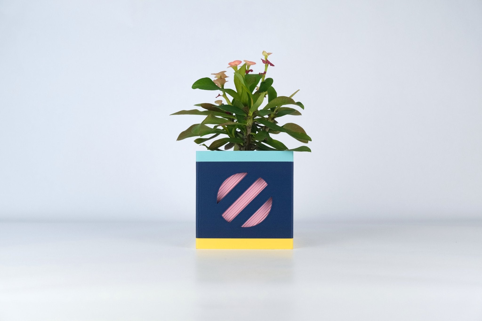 "Le Cube N°2 - Cache-pot Ø6 cm - Marine/Rose - Les Arcadiens"