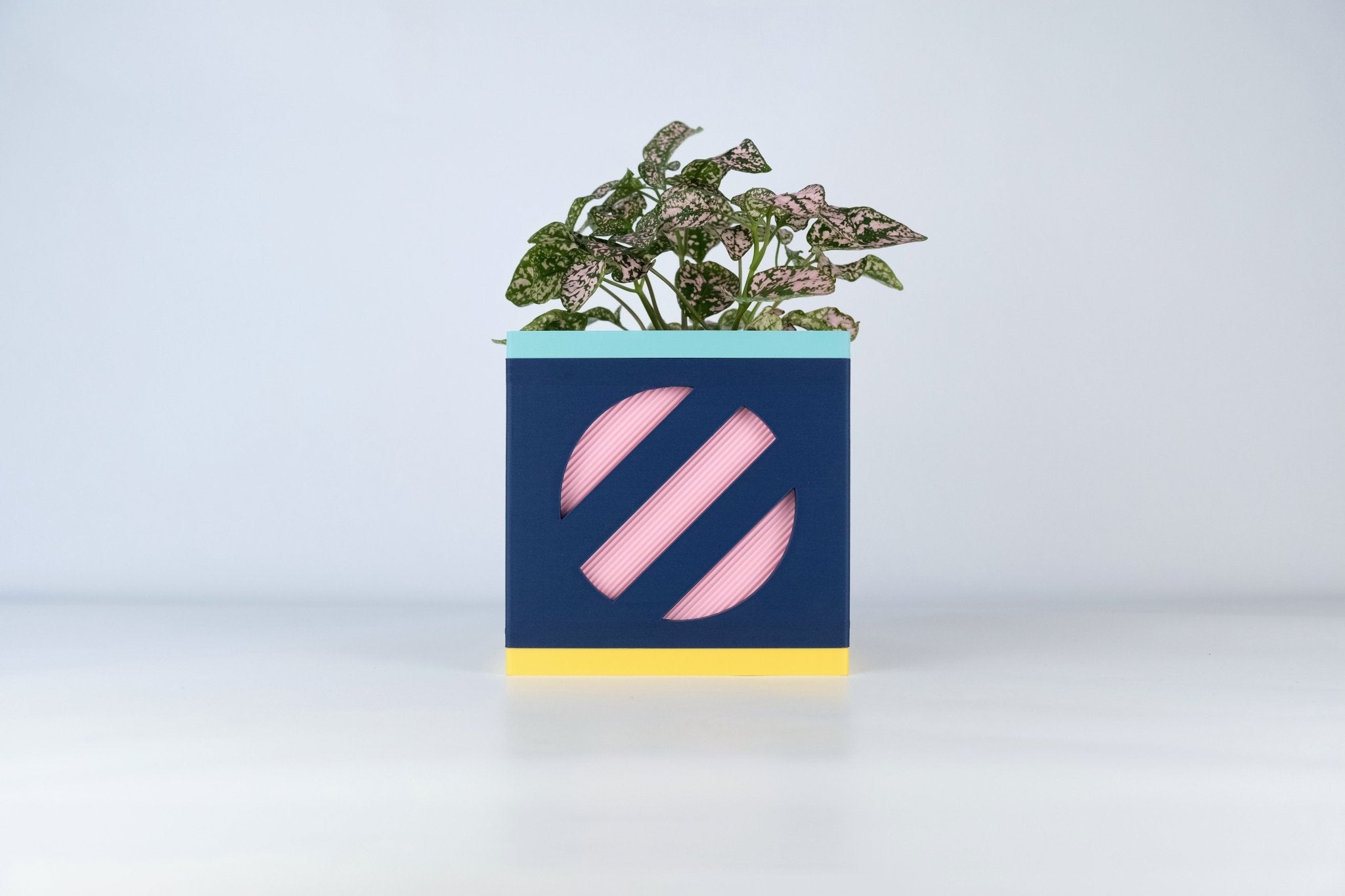 "Le Cube N°2 - Cache-pot Ø9 cm - Marine/Rose - Les Arcadiens"