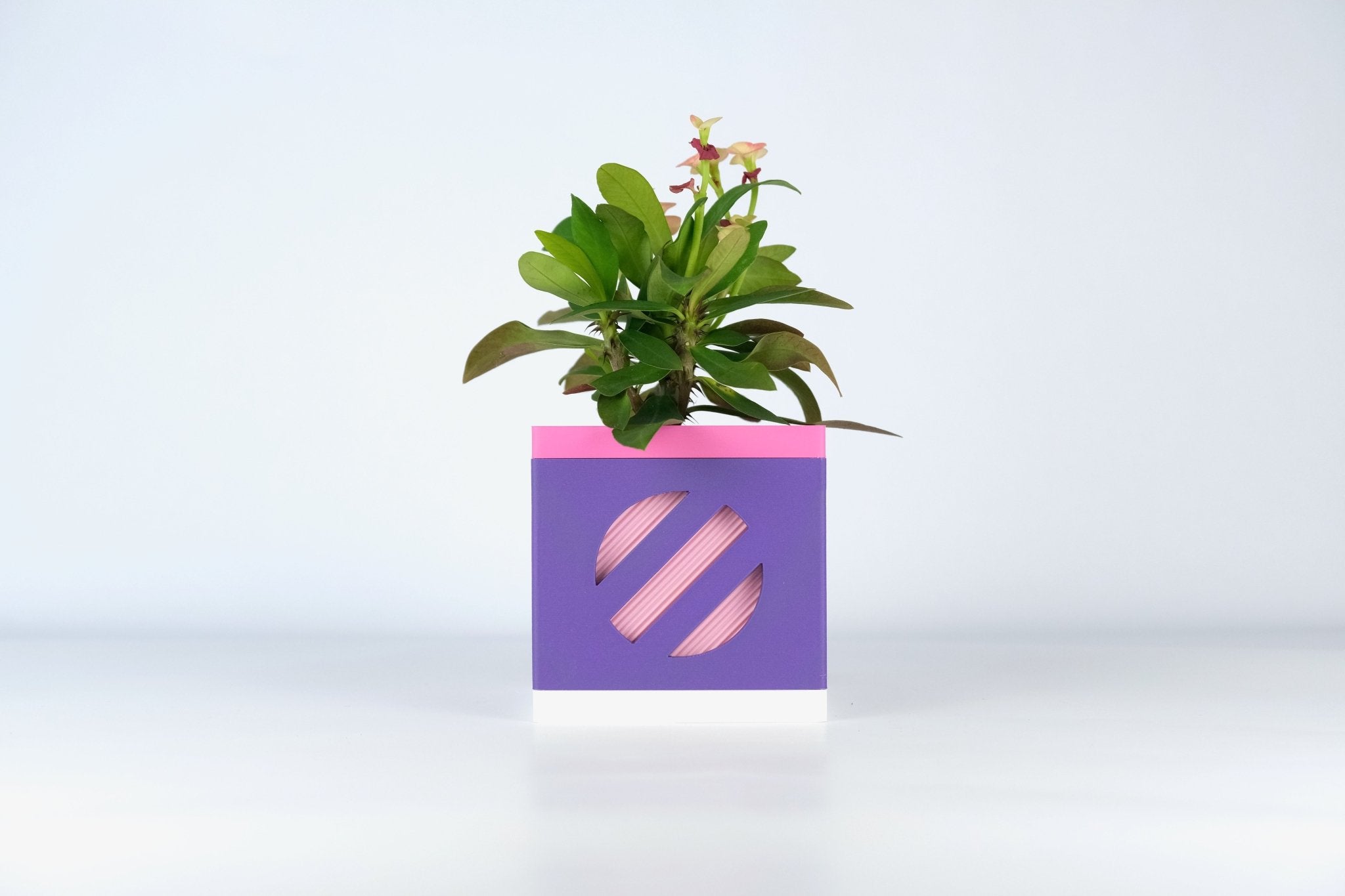 Le Cube N°2 - Cache-pot Ø6 cm - Violet/Rose - Les Arcadiens
