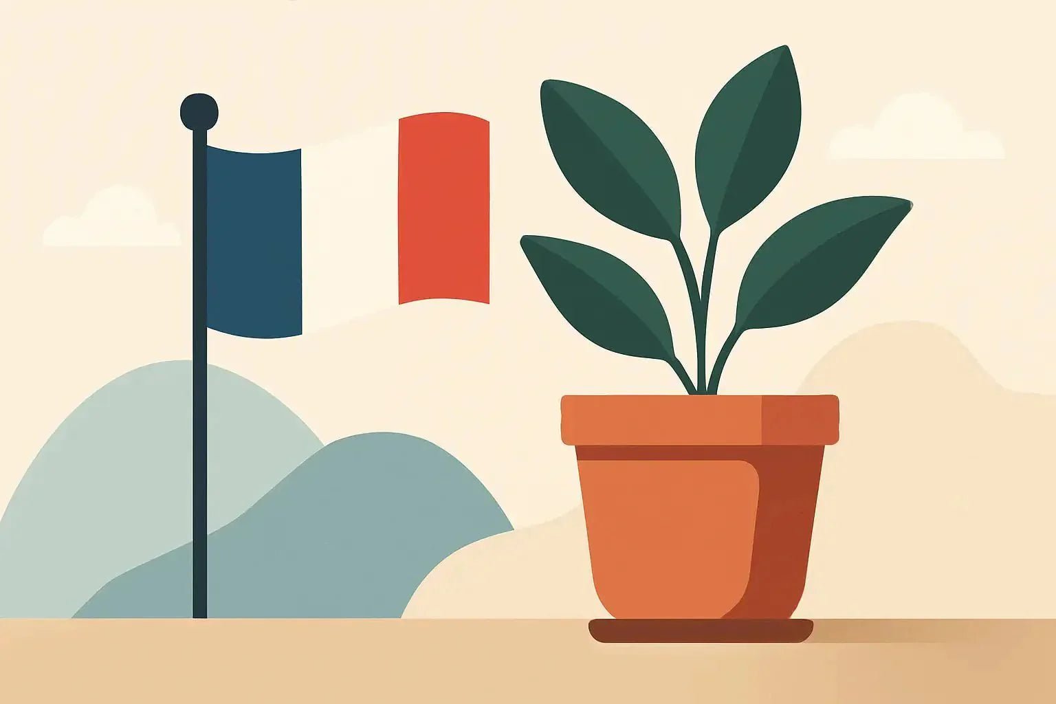 Cache-pot design fabriqué en France : les critères qui font vraiment la différence