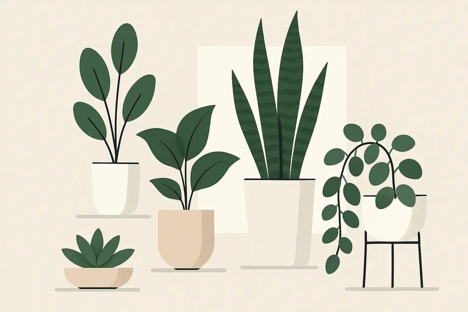 Comment intégrer des plantes dans un intérieur minimaliste ? (12 règles d'or)