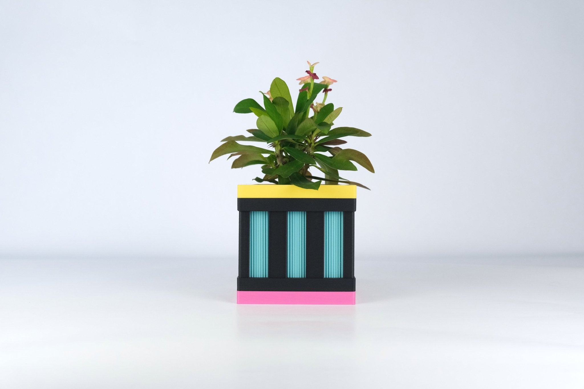 Le Cube N°1 - Cache-pot ⌀6 cm - Noir - Les Arcadiens