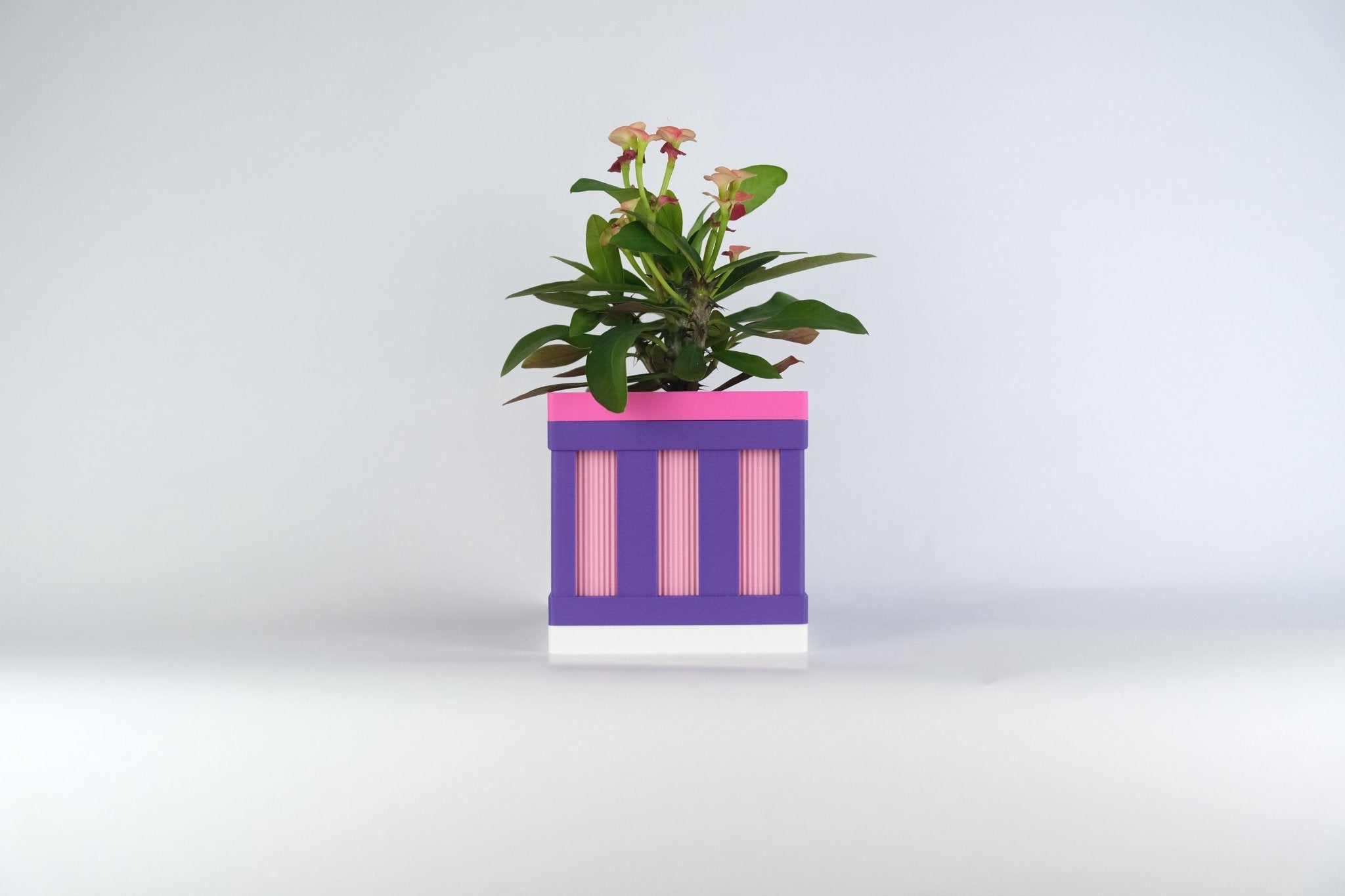 Le Cube N°1 - Cache-pot ⌀6 cm - Violet/Rose - Les Arcadiens