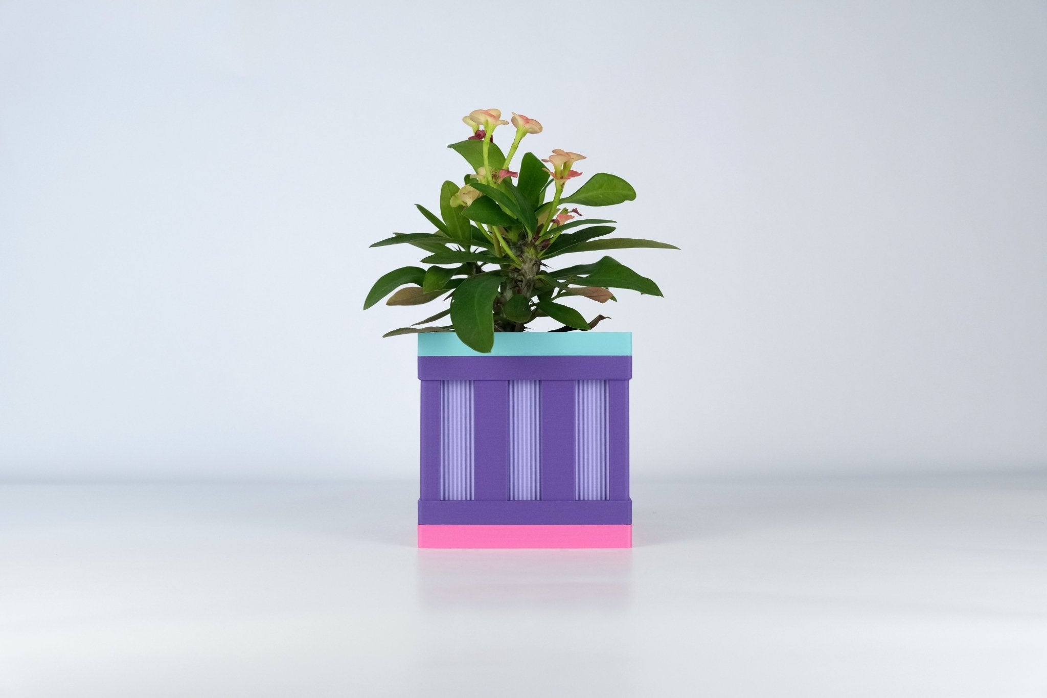 Le Cube N°1 - Cache-pot ⌀6 cm - Violet/Violet - Les Arcadiens