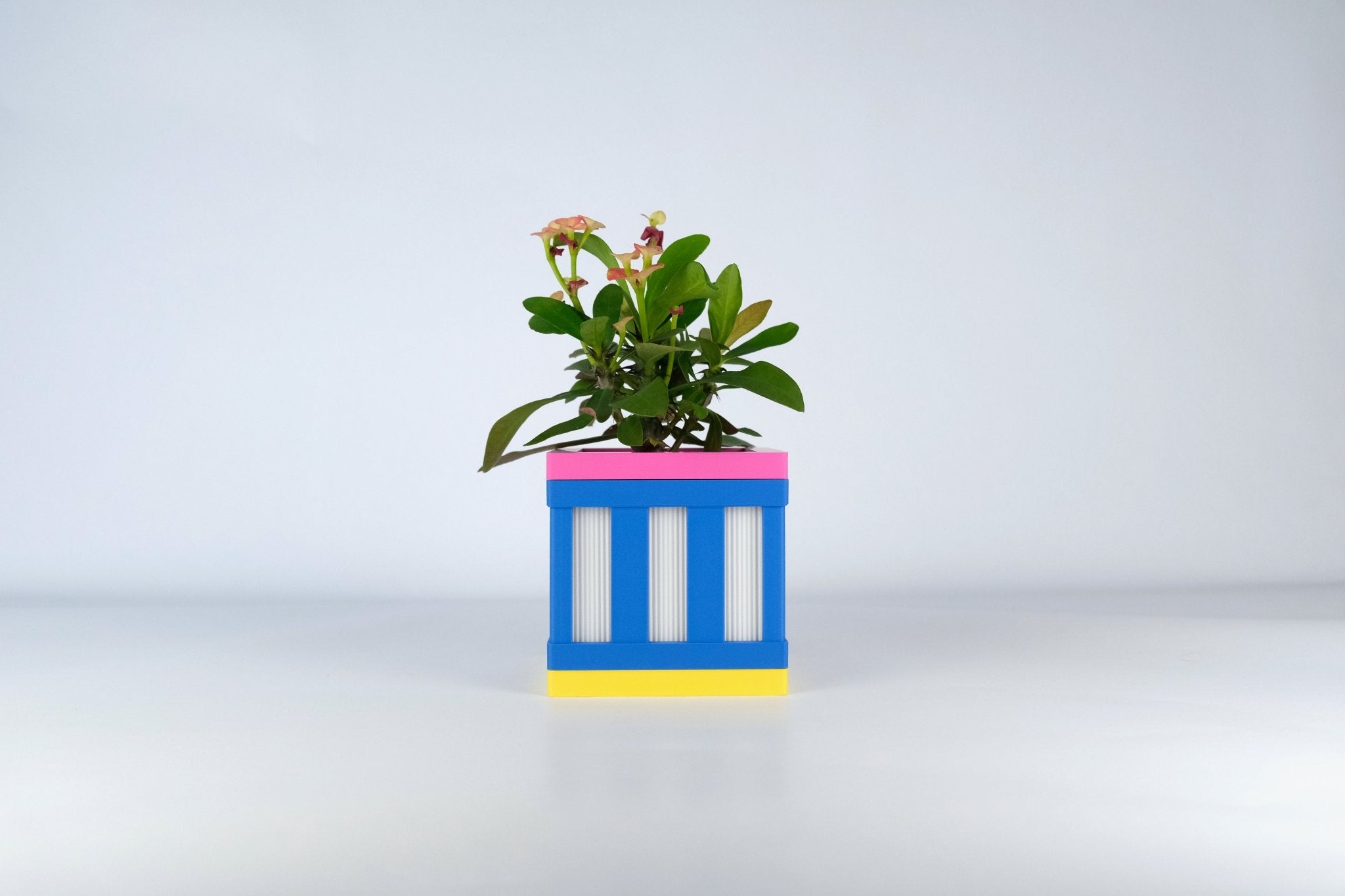 "Le Cube N°1 - Cache-pot ⌀6 cm - Bleu - Les Arcadiens"