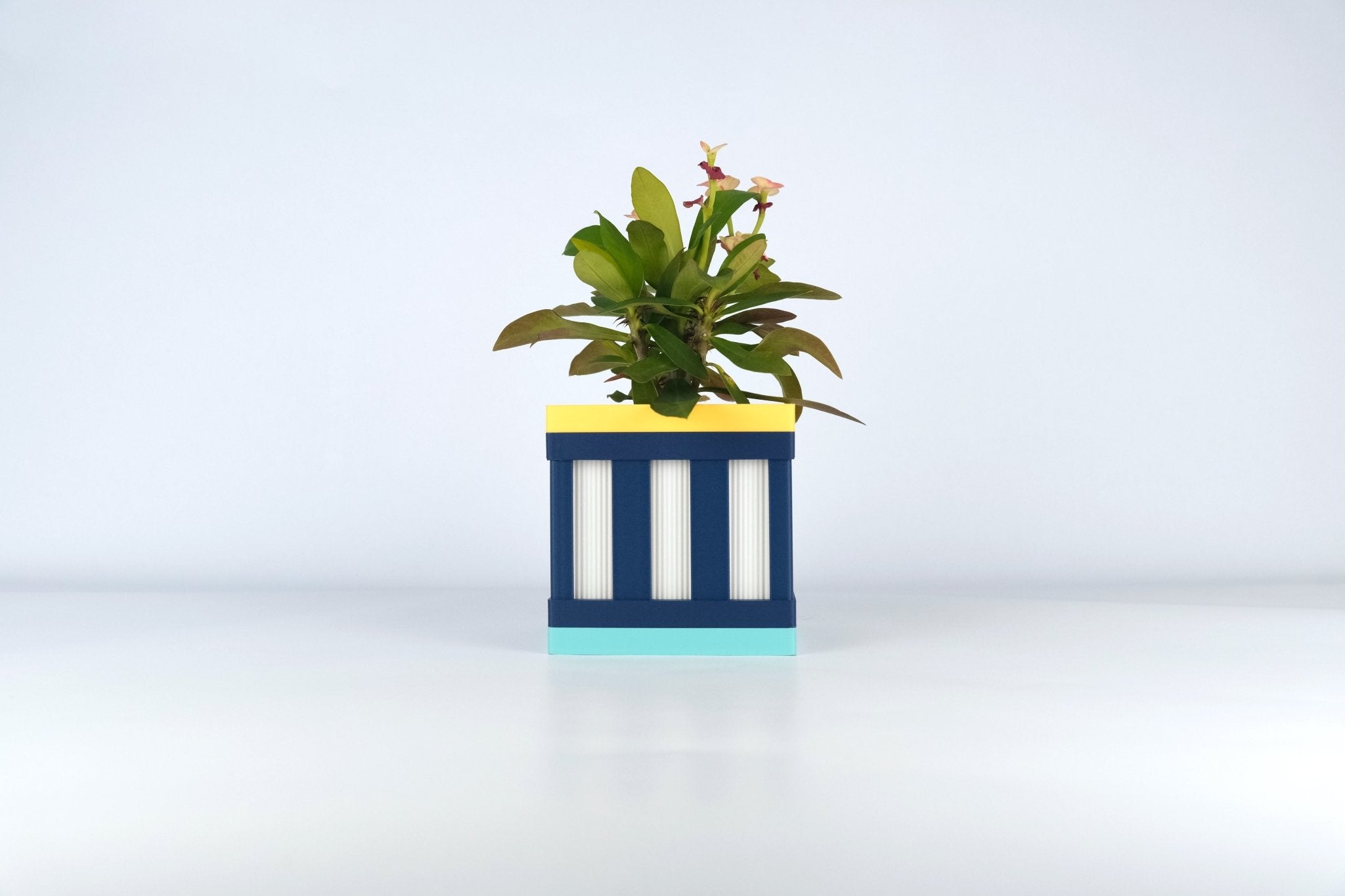 "Le Cube N°1 - Cache-pot ⌀6 cm - Marine/Blanc - Les Arcadiens"