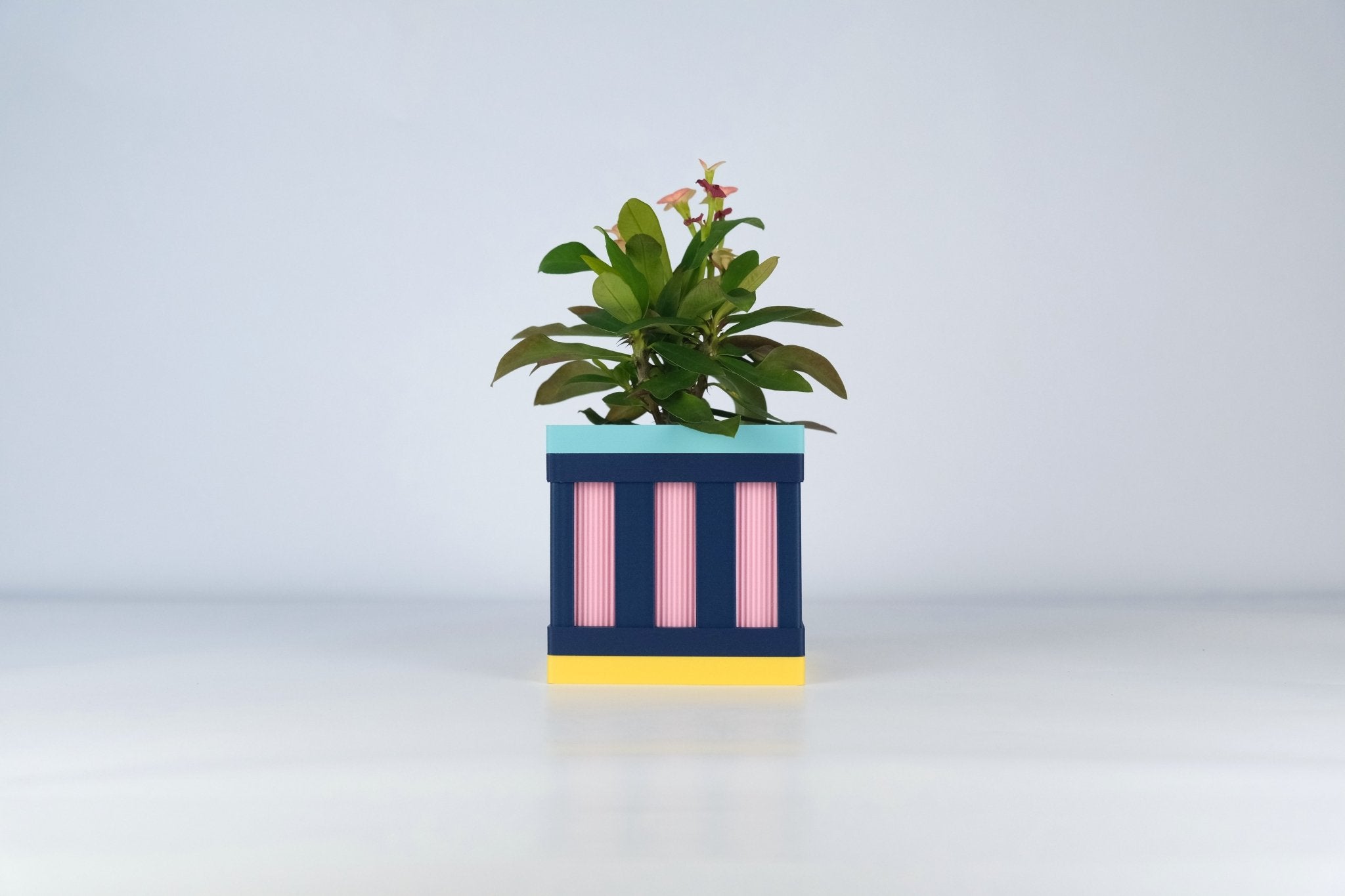 "Le Cube N°1 - Cache-pot ⌀6 cm - Marine/Rose - Les Arcadiens"