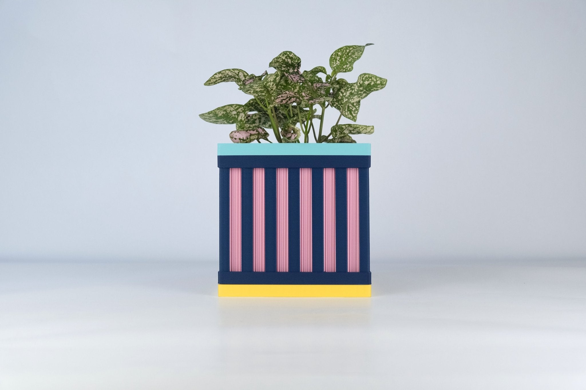 "Le Cube N°1 - Cache-pot ⌀9 cm - Marine/Rose - Les Arcadiens"