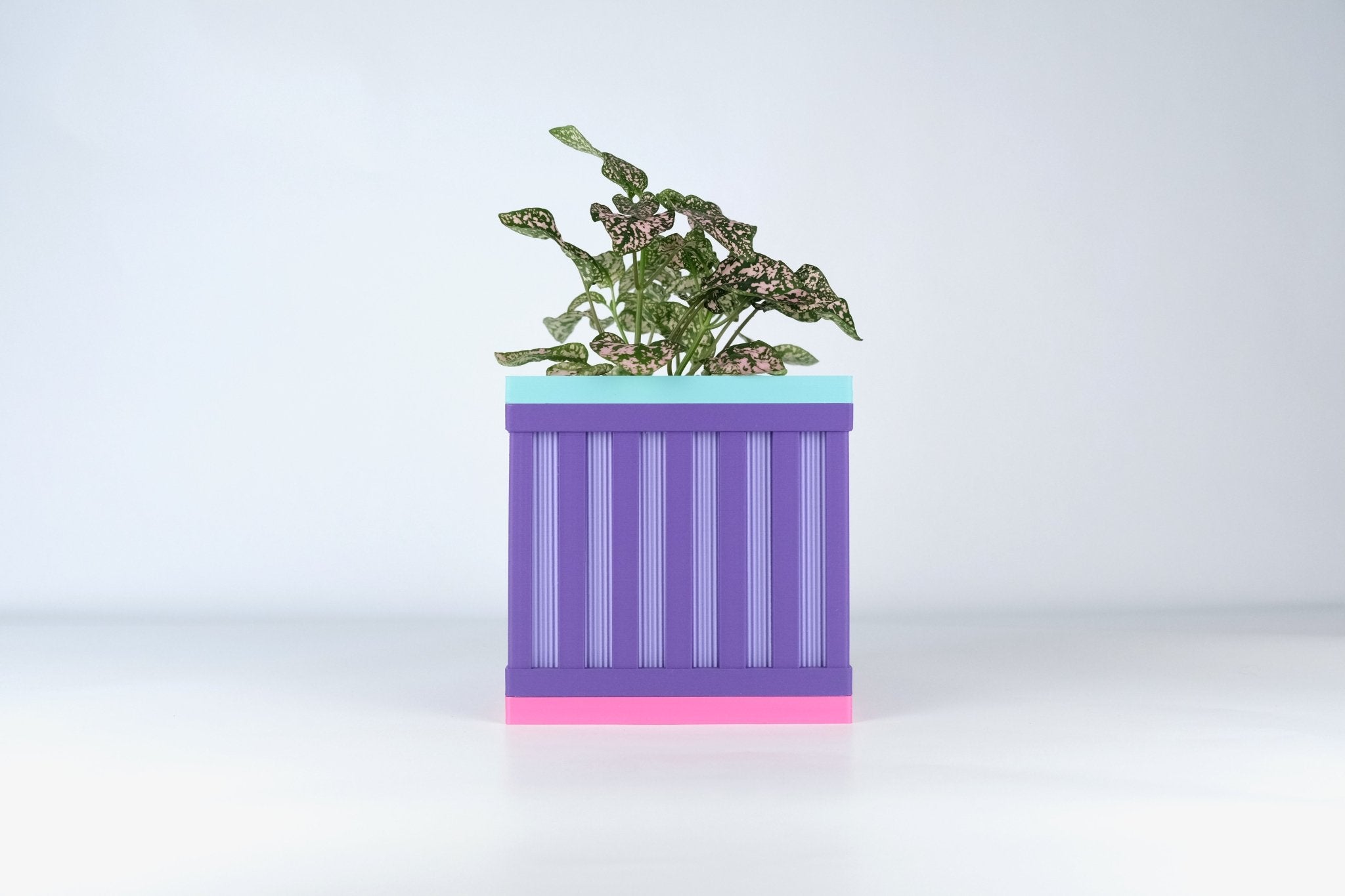 "Le Cube N°1 - Cache-pot ⌀9 cm - Violet/Violet - Les Arcadiens"