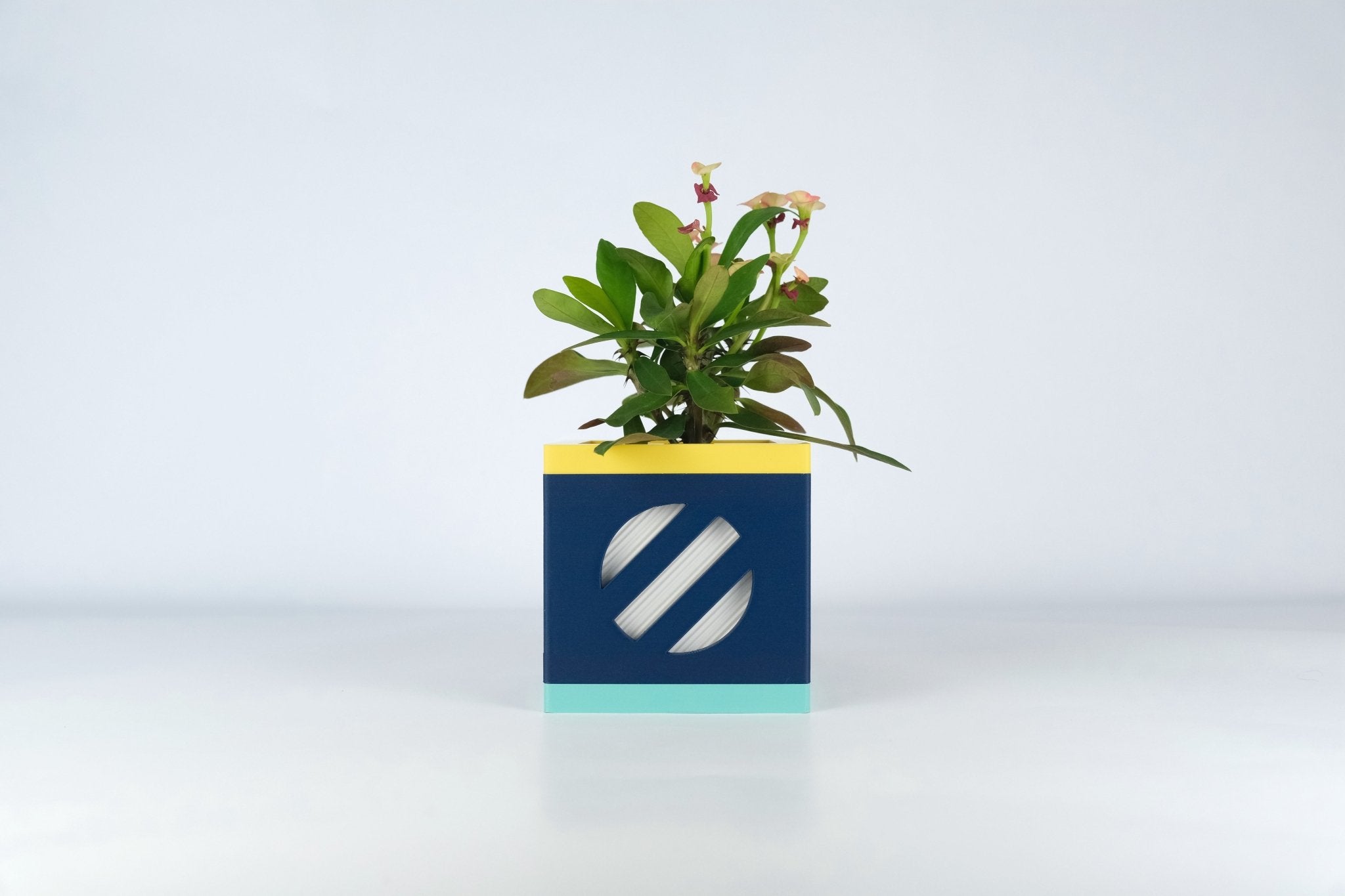 "Le Cube N°2 - Cache-pot Ø6 cm - Marine/Blanc - Les Arcadiens"