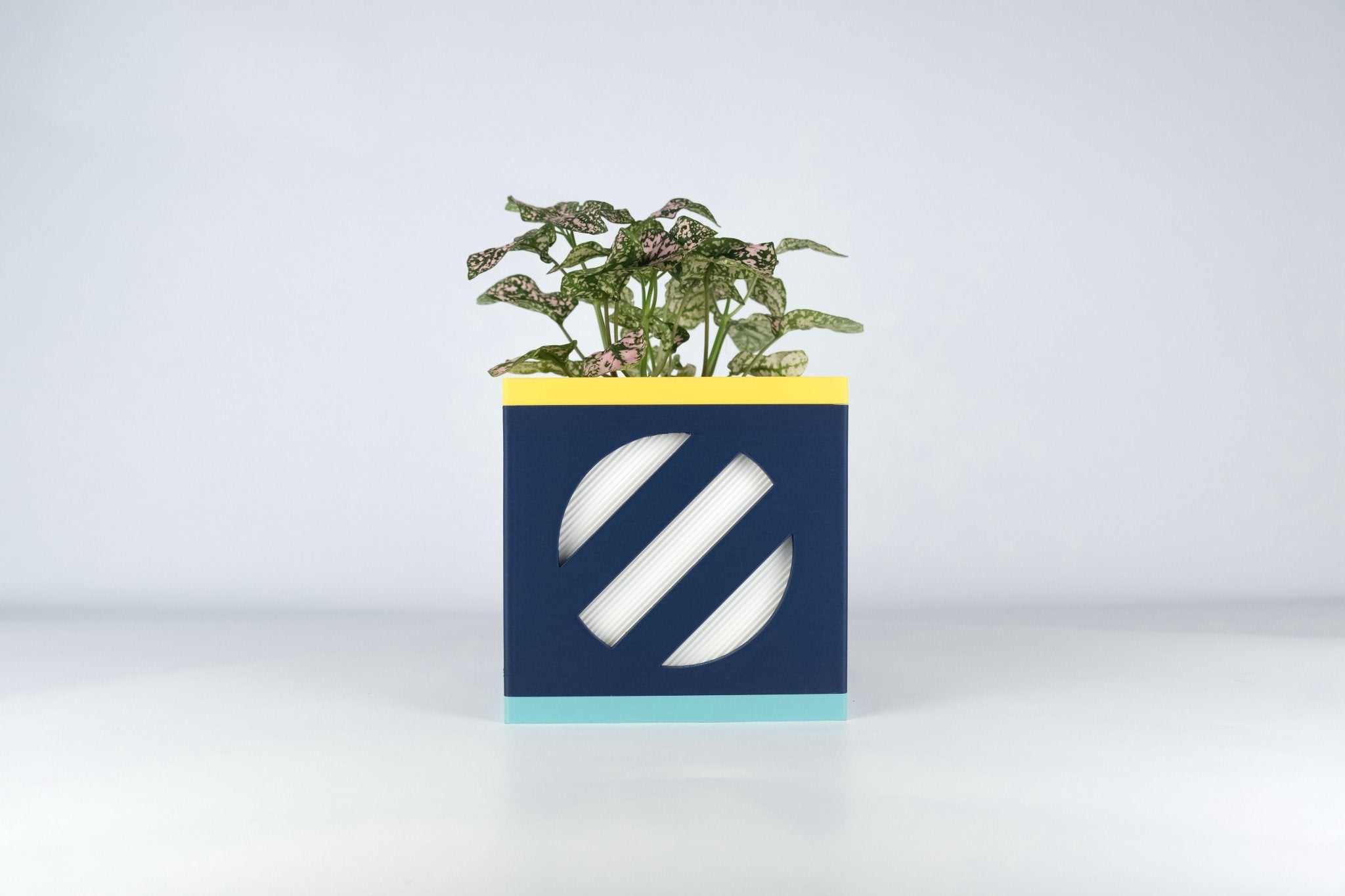 "Le Cube N°2 - Cache-pot Ø9 cm - Marine/Blanc - Les Arcadiens"