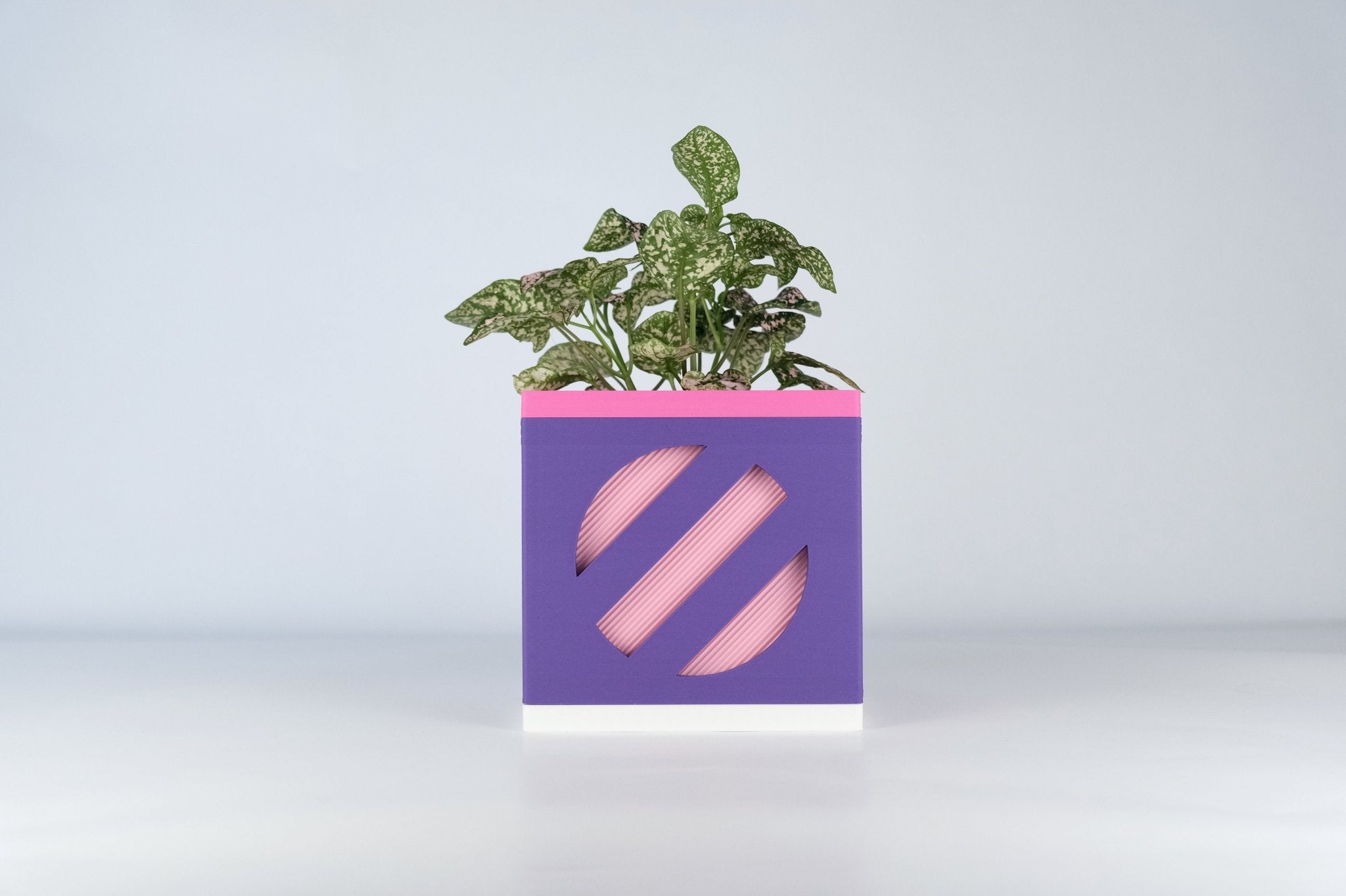 Le Cube N°2 - Cache-pot Ø9 cm - Violet/Rose - Les Arcadiens
