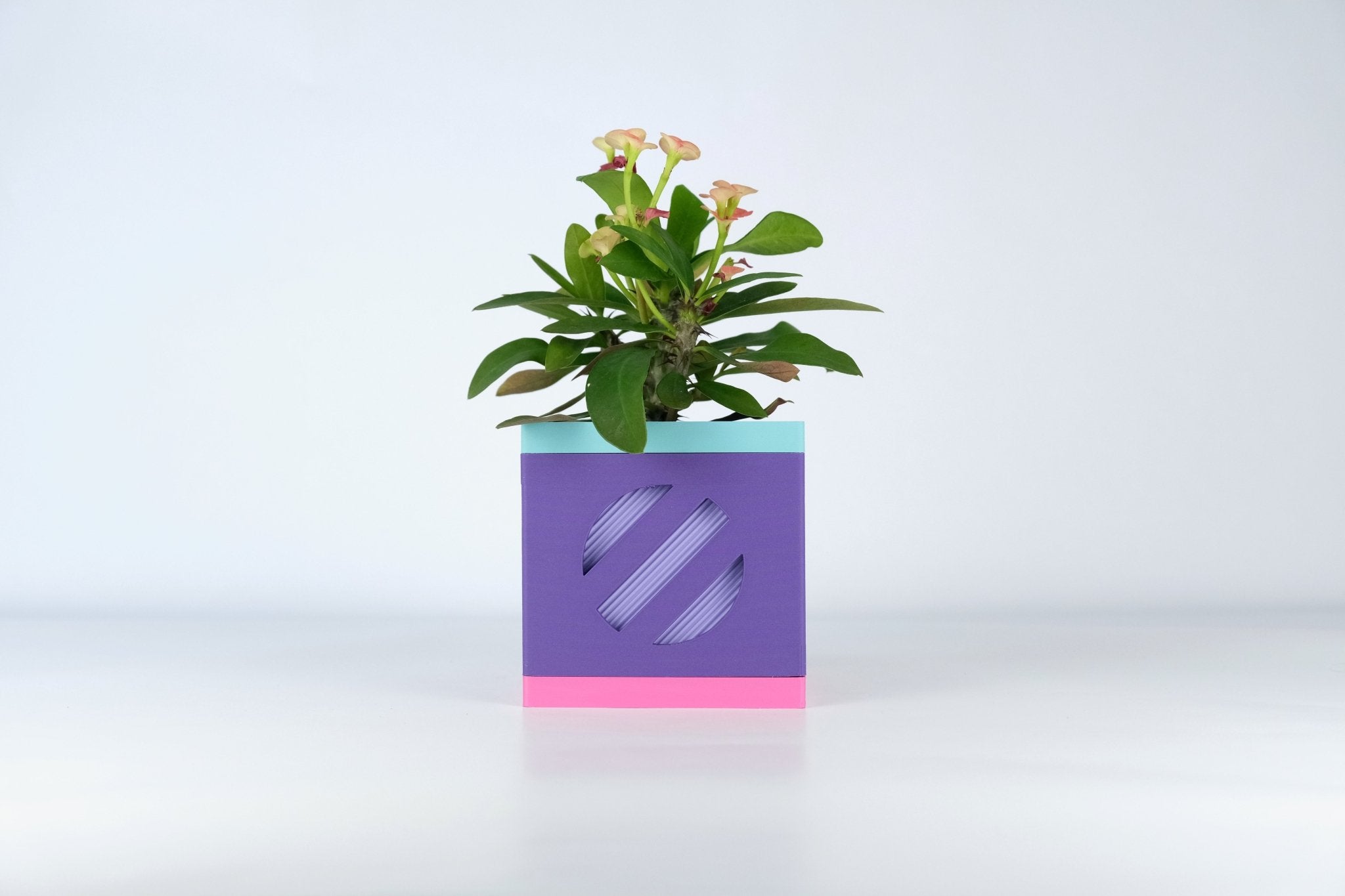 Le Cube N°2 - Cache-pot Ø6 cm - Violet/Violet - Les Arcadiens
