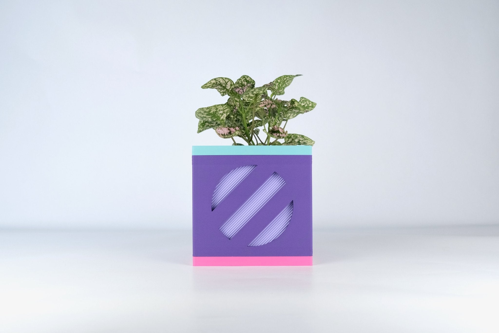 Le Cube N°2 - Cache-pot Ø9 cm - Violet/Violet - Les Arcadiens